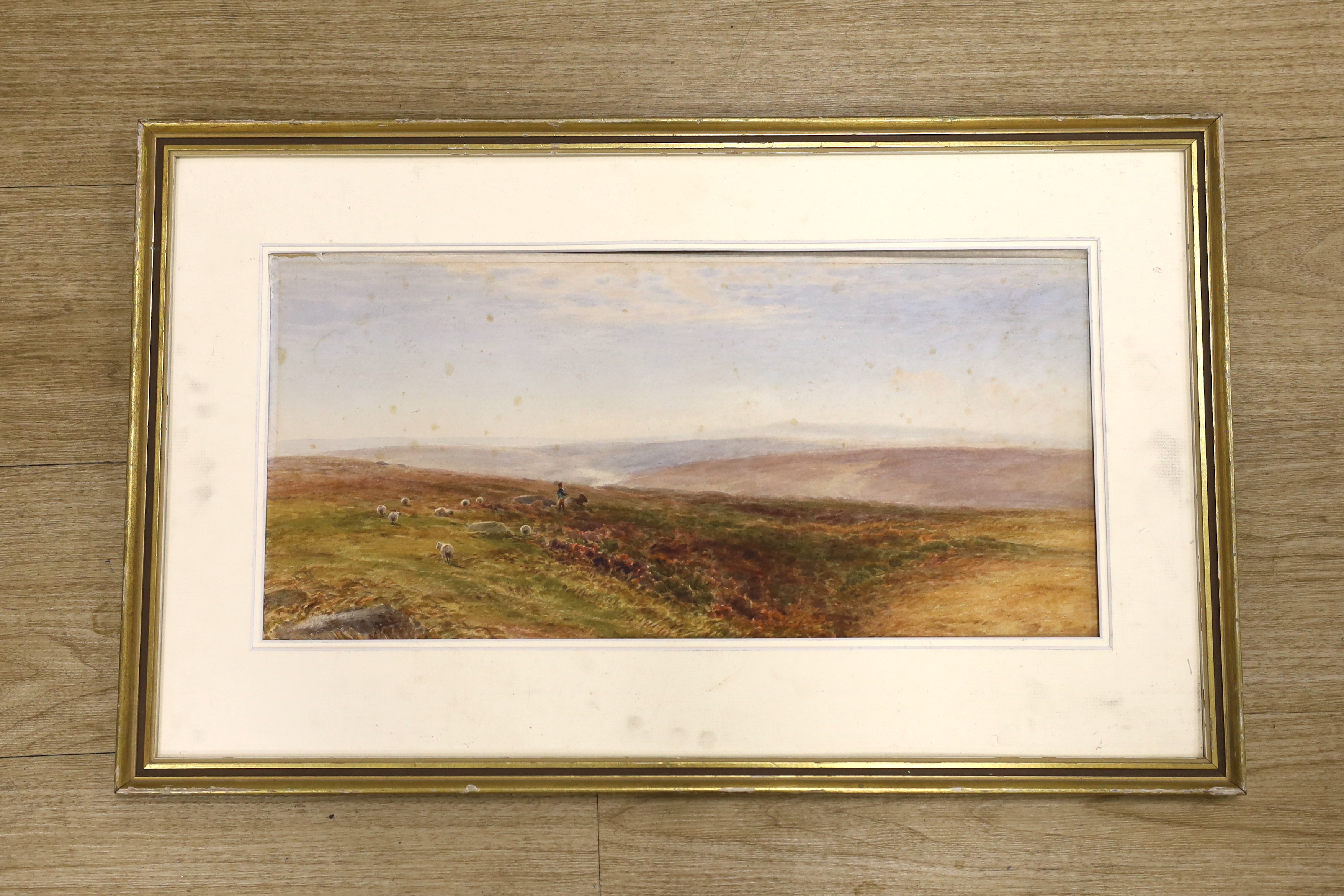 Arthur Henry Enoch (fl.1869-1910), watercolour, Sheep on the moors, signed, 24 x 52cm